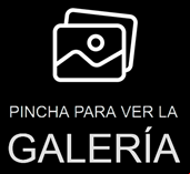 Cargar galeria